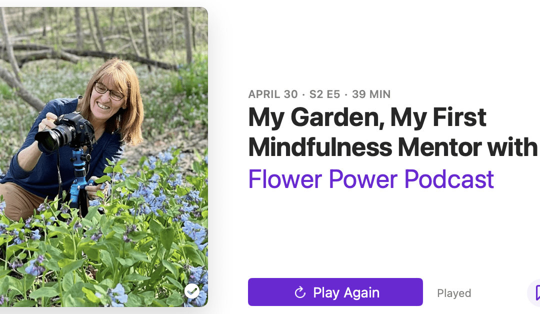 Flower Power Podcast With Lisa Waters